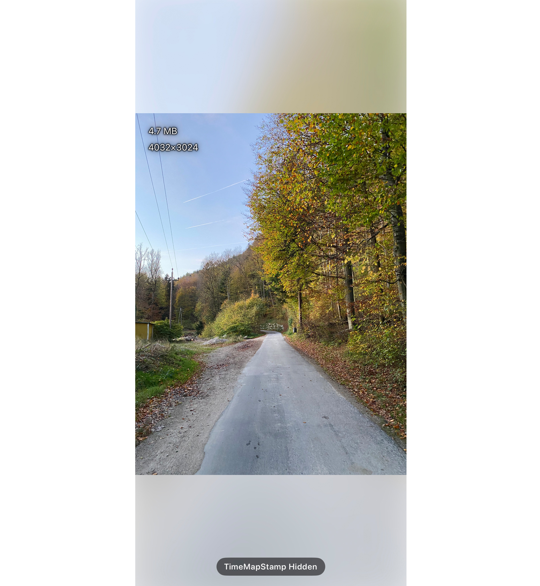 TimeMapStamp Controls