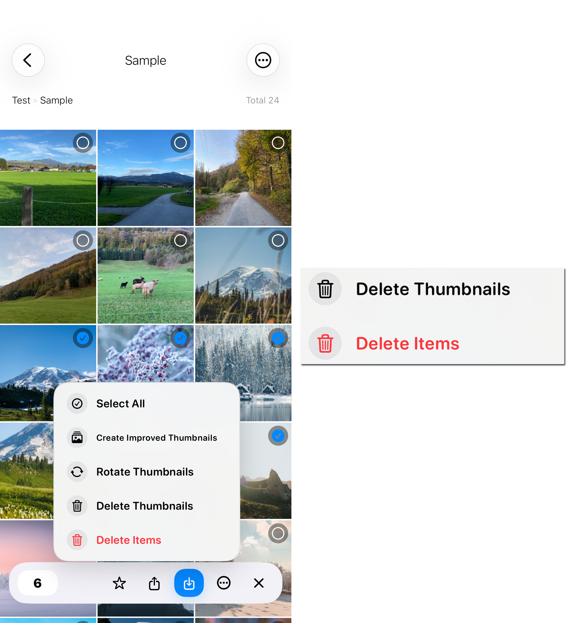 Delete Thumbnails or Original Items