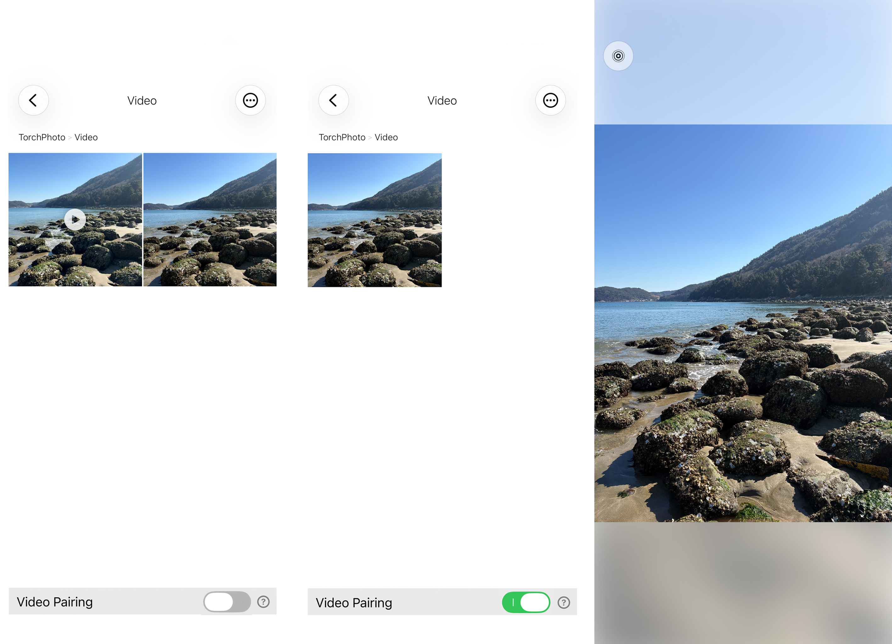 Live Photo Pairing