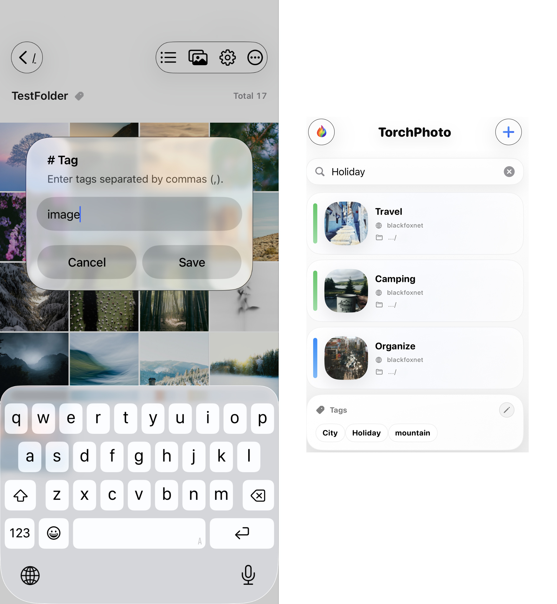 Viewer & Organization