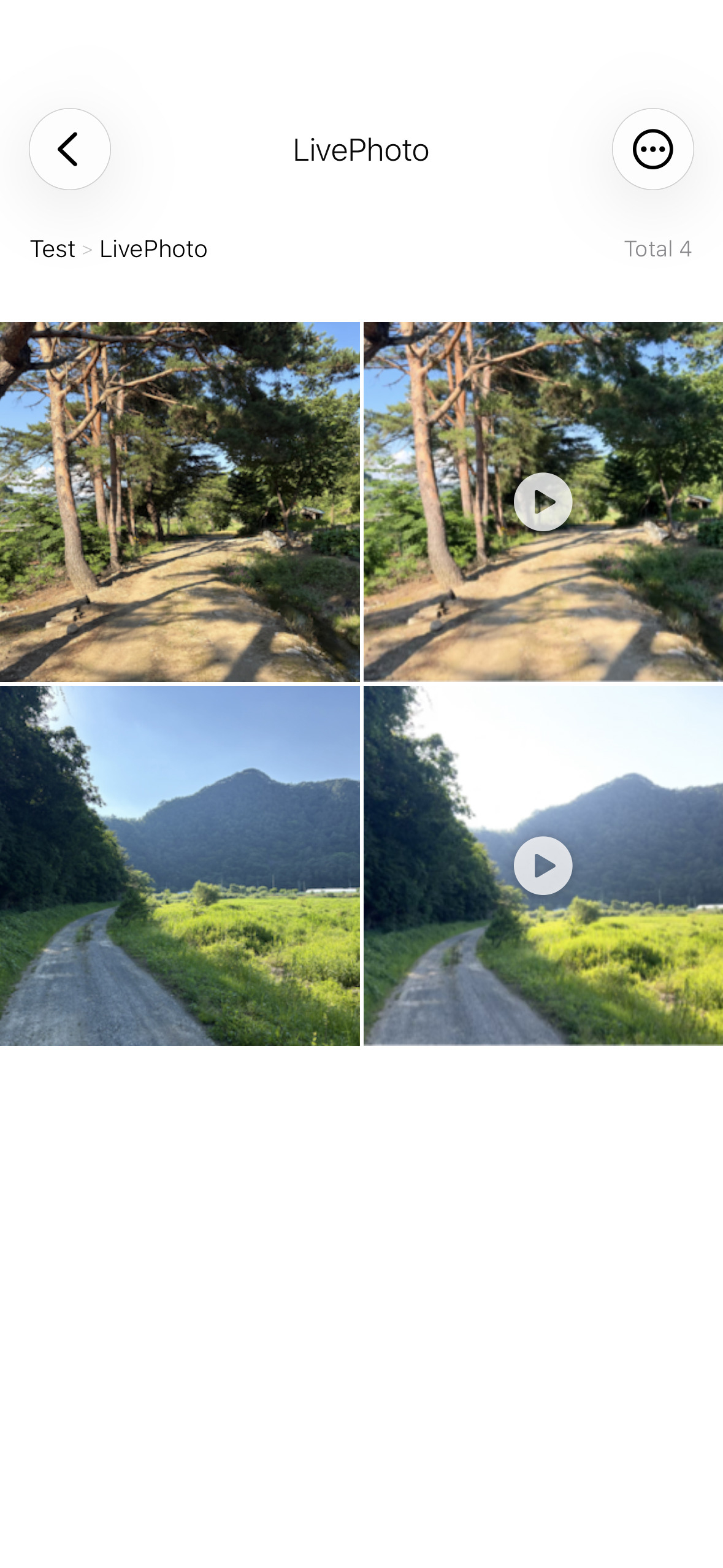 Matching photo and video shown separately