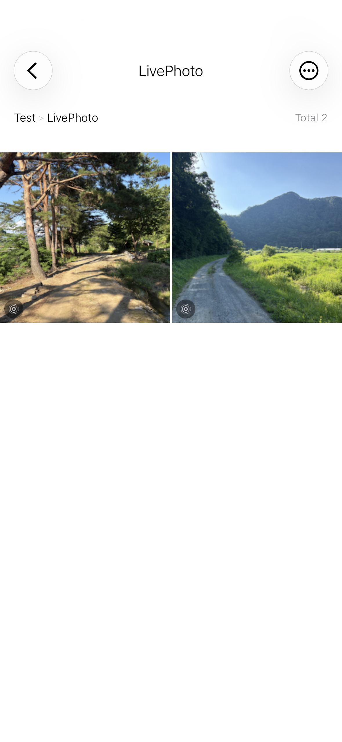 Matching photo and video combined as one item